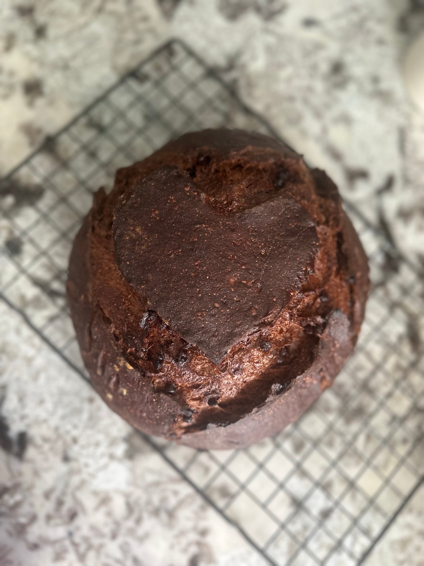 Chocolate Chocolate Chip Sourdough Bread