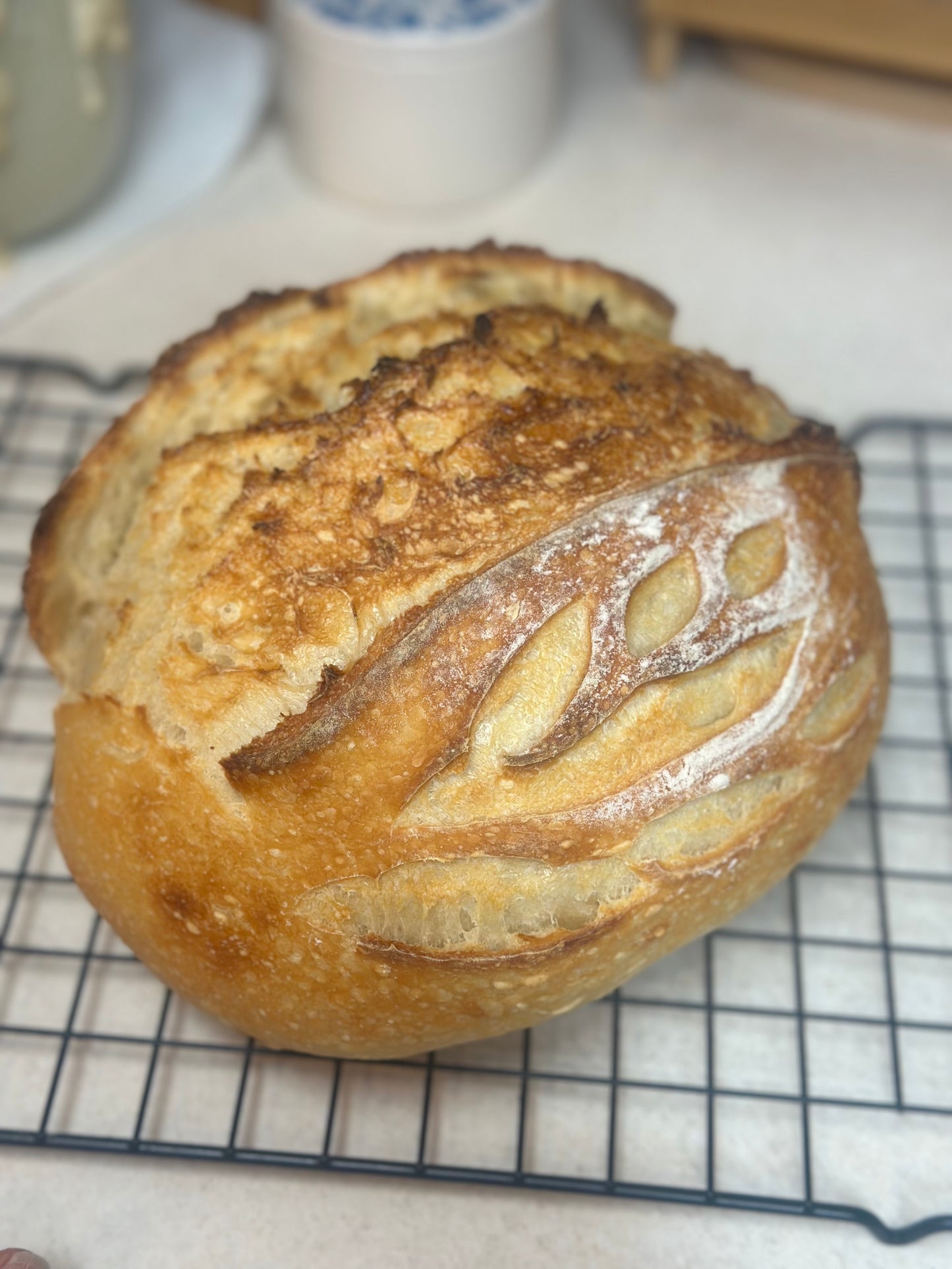 Sourdough Bread