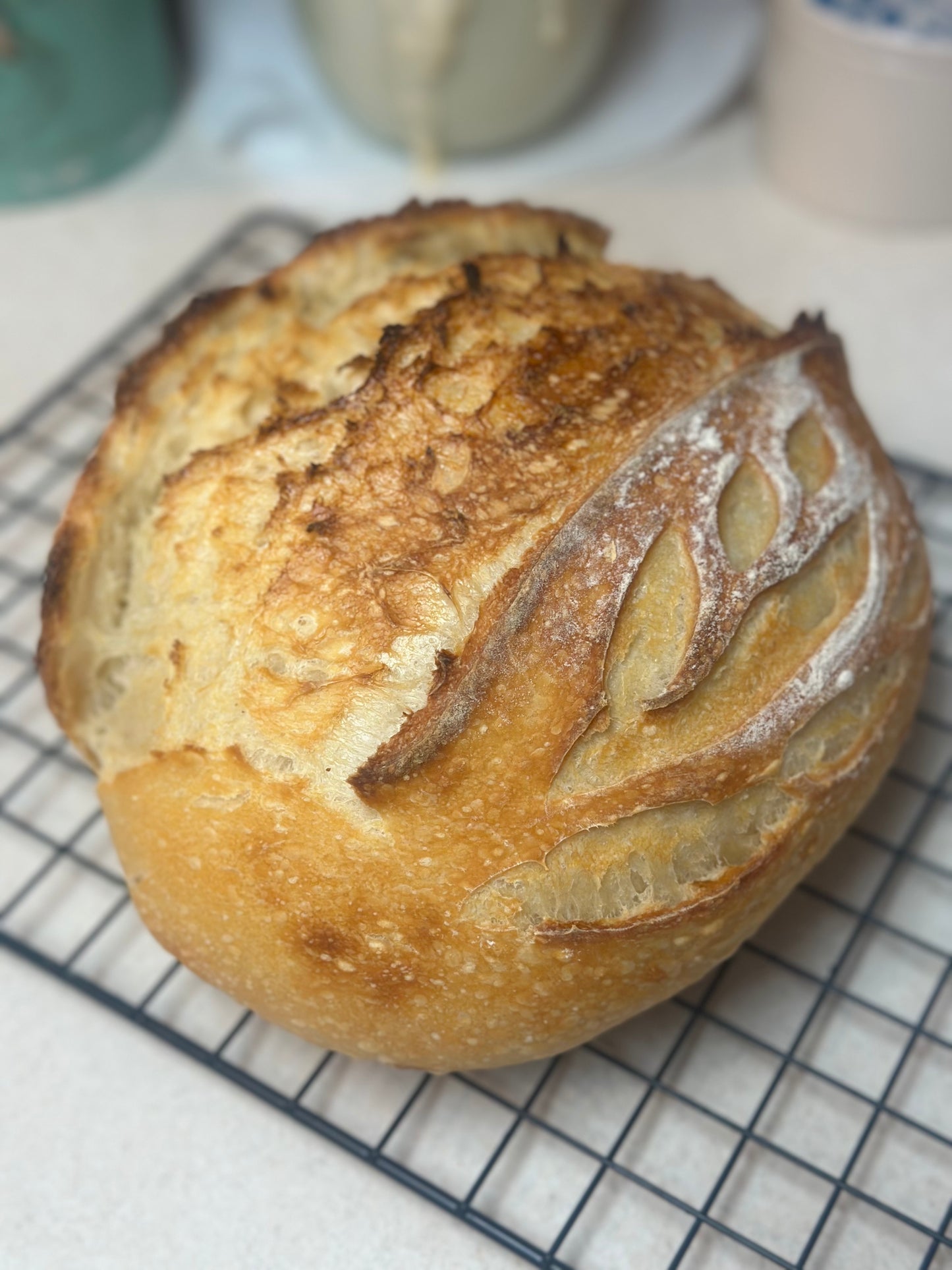 Sourdough Bread