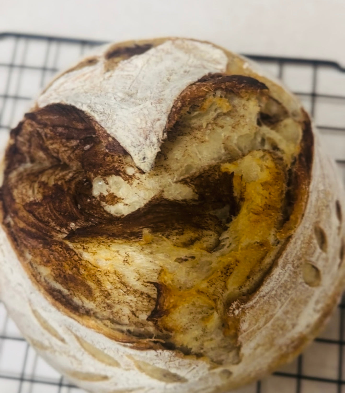 Cinnamon Sugar Sourdough Bread