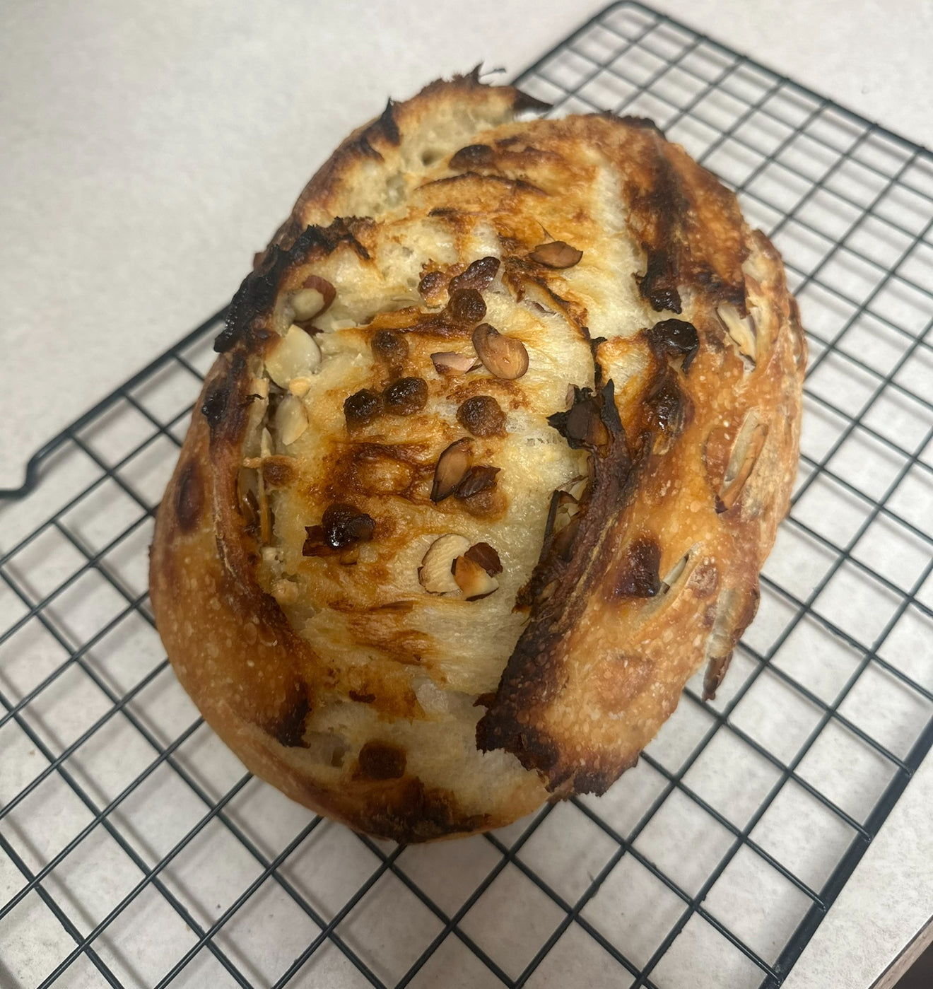 Cranberry Walnut Sourdough Bread